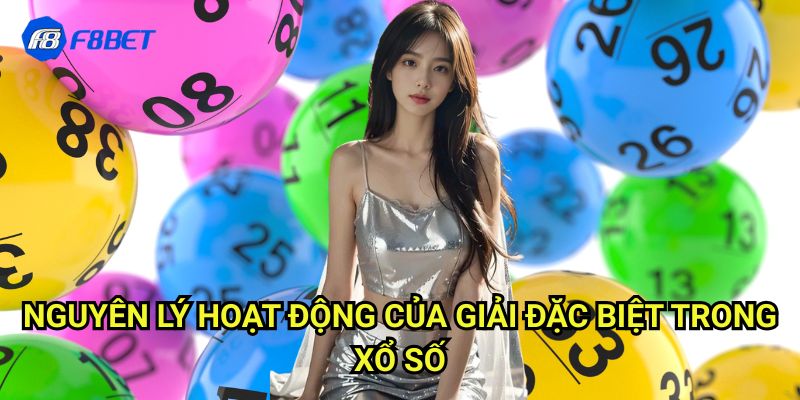 Bắt Lô Giải Đặc Biệt Chuẩn Xác Nhất Với Hệ Thống Dự Đoán F8bet 2 Nguyên Lý Hoạt Động Của Giải Đặc Biệt Trong Xổ Số